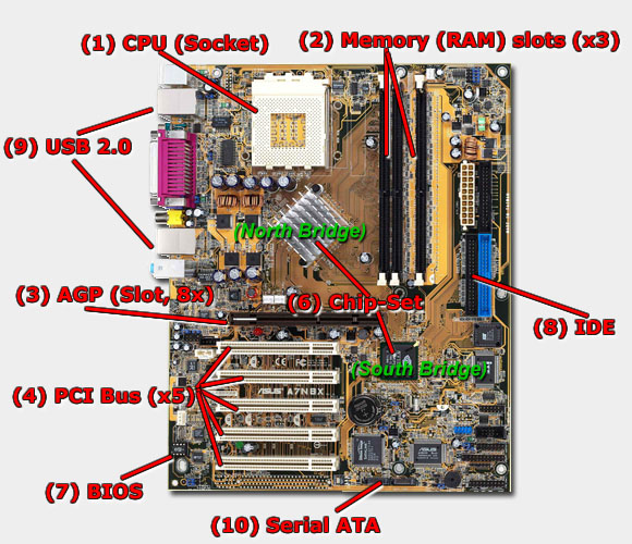 www.danielsevo.com, PC Buyers Guide - Page 2